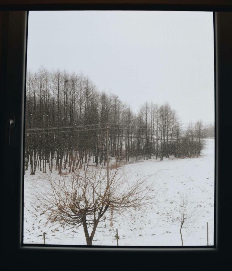 Eko Zagroda Bocianie Gniazdo Mikołajki Kültér fotó